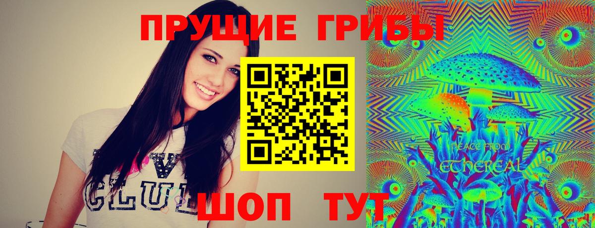 Ижевск  Псилоцибиновые грибы GOLDEN TEACHER  Вход с VPN 